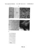 FABRICATED BIOFILM STORAGE DEVICE diagram and image