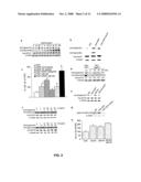 Methods for Promoting Stem Cell Proliferation and Survival diagram and image