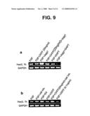 Methods for Promoting Stem Cell Proliferation and Survival diagram and image