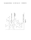 Conjugate of insulin and vitamin B12 for oral delivery diagram and image