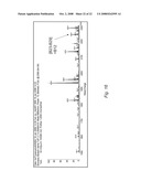 Conjugate of insulin and vitamin B12 for oral delivery diagram and image