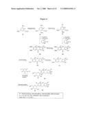 BENZYLIC GLYCOSIDE DERIVATIVES AND METHODS OF USE diagram and image