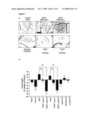 BIOACTIVE PARSTATIN PEPTIDES AND METHODS OF USE diagram and image