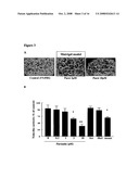 BIOACTIVE PARSTATIN PEPTIDES AND METHODS OF USE diagram and image