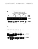 BIOACTIVE PARSTATIN PEPTIDES AND METHODS OF USE diagram and image