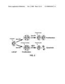 NOVEL RNA INTERFERENCE METHODS USING DNA-RNA DUPLEX CONSTRUCTS diagram and image