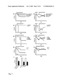 INDUCTION OF DIFFERENTIAL STRESS RESISTANCE AND USES THEREOF diagram and image