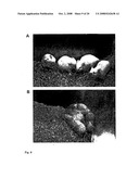 INDUCTION OF DIFFERENTIAL STRESS RESISTANCE AND USES THEREOF diagram and image