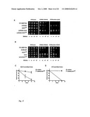 INDUCTION OF DIFFERENTIAL STRESS RESISTANCE AND USES THEREOF diagram and image