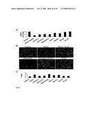 INDUCTION OF DIFFERENTIAL STRESS RESISTANCE AND USES THEREOF diagram and image