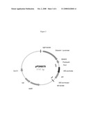 Commercial production of insulin and insulin-like proteins in plants diagram and image