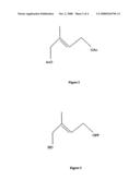 METHYL-D-ERYTHRITOL PHOSPHATE PATHWAY GENES diagram and image