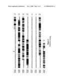 METHYL-D-ERYTHRITOL PHOSPHATE PATHWAY GENES diagram and image