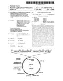 Recombinant Expression Vector for Production of Plants Having Multiple Stress Tolerances, and Method for Preparing Multiple Stress-Tolerant Plants Using the Same diagram and image