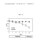 Recombinant Expression Vector for Production of Plants Having Multiple Stress Tolerances, and Method for Preparing Multiple Stress-Tolerant Plants Using the Same diagram and image