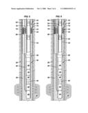 ELECTRIC SUBMERSIBLE PUMPING SYSTEM WITH GAS VENT diagram and image