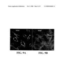 Cdte/Gsh Core-Shell Quantum Dots diagram and image