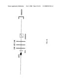 FIBER LASERS diagram and image