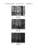 Apparatus and Method for Augmenting Sight diagram and image