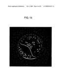 Apparatus and Method For Detecting Protein Crystals diagram and image