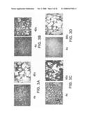 Albumin-based colloid composition having at least one protected thiol region, methods of making, and methods of use diagram and image