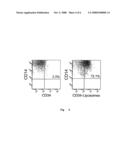 Stem Cells, Method For Their Purification, Identification, and Use diagram and image