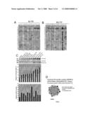 Inhibitors of Protein Kinase a Anchoring diagram and image