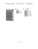 Inhibitors of Protein Kinase a Anchoring diagram and image