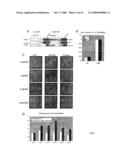 Inhibitors of Protein Kinase a Anchoring diagram and image