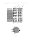 Inhibitors of Protein Kinase a Anchoring diagram and image