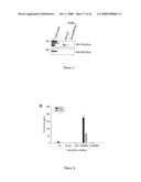 Inhibitors of Protein Kinase a Anchoring diagram and image