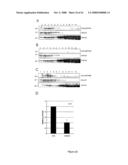 Inhibitors of Protein Kinase a Anchoring diagram and image