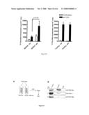 Inhibitors of Protein Kinase a Anchoring diagram and image