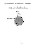 Inhibitors of Protein Kinase a Anchoring diagram and image