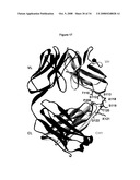 Immunoglobulin Variants Outside the Fc Region diagram and image