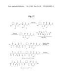 MONOMETHYLVALINE COMPOUNDS CAPABLE OF CONJUGATION TO LIGANDS diagram and image