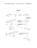 MONOMETHYLVALINE COMPOUNDS CAPABLE OF CONJUGATION TO LIGANDS diagram and image