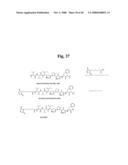 MONOMETHYLVALINE COMPOUNDS CAPABLE OF CONJUGATION TO LIGANDS diagram and image