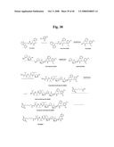 MONOMETHYLVALINE COMPOUNDS CAPABLE OF CONJUGATION TO LIGANDS diagram and image