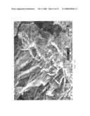 POLYMORPHIC FORMS OF 6-11 BICYCLIC KETOLIDE DERIVATIVES diagram and image