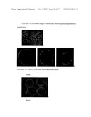 MULTILAYERED POLYELECTROLYTE-BASED CAPSULES FOR CELL ENCAPSULATION AND DELIVERY OF THERAPEUTIC COMPOSITIONS diagram and image