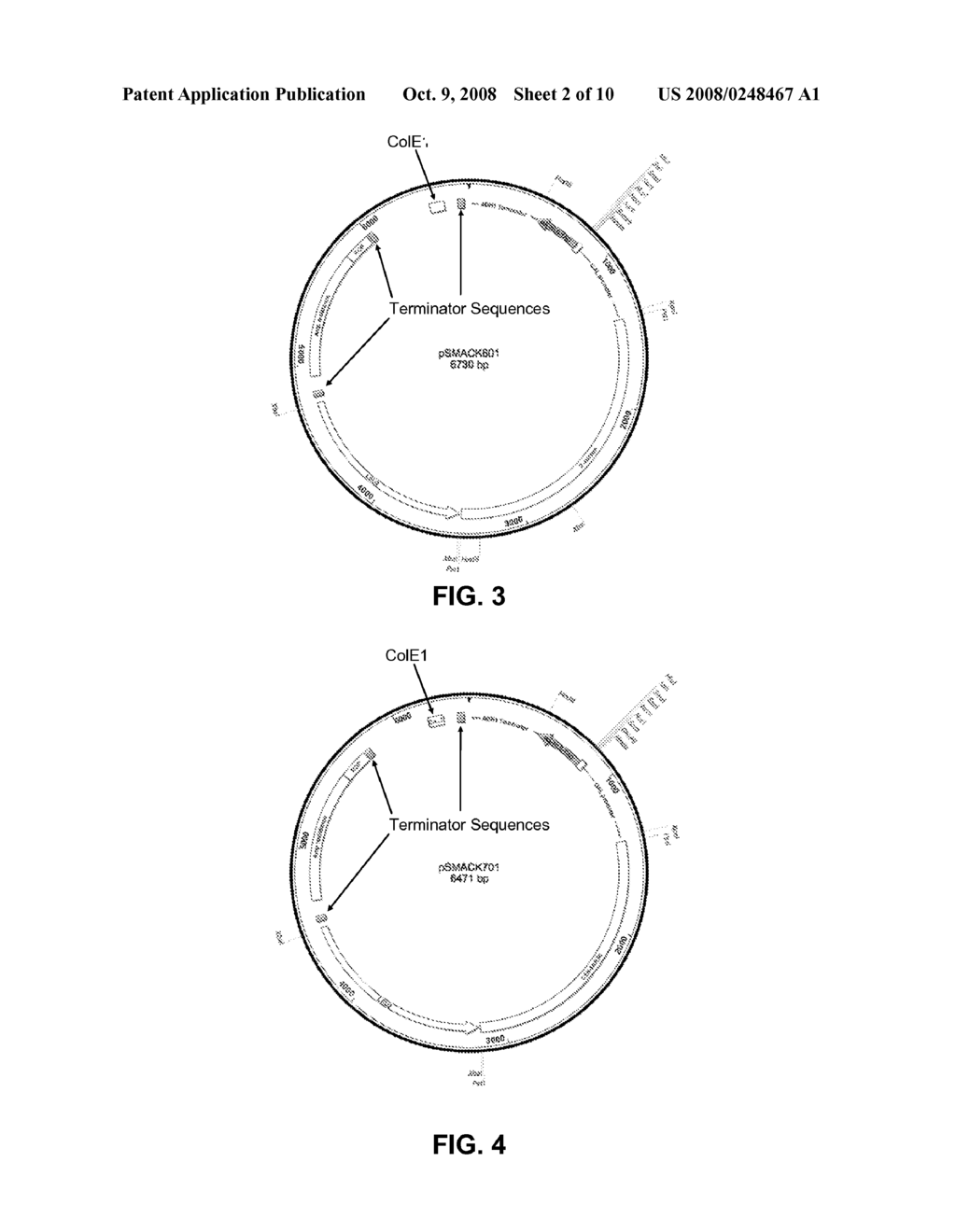 System for pulling out regulatory elements using yeast - diagram, schematic, and image 03