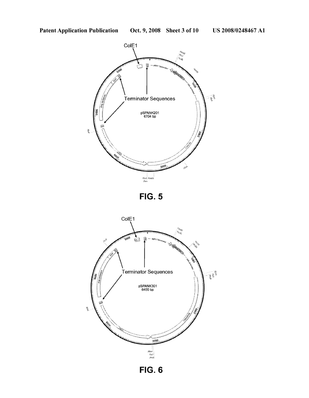 System for pulling out regulatory elements using yeast - diagram, schematic, and image 04