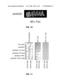 System for pulling out regulatory elements using yeast diagram and image