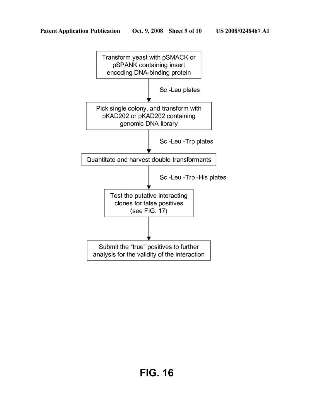 System for pulling out regulatory elements using yeast - diagram, schematic, and image 10