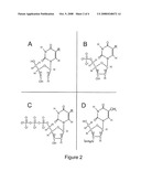 Method and Kit for Determination of Thymidine Kinase Activity and Use Thereof diagram and image