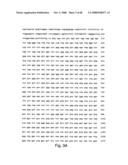 Novel ITALY, LOR-2, STRIFE, TRASH, BDSF, LRSG, and STMST protein and nucleic acid molecules and uses therefor diagram and image