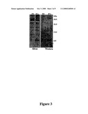 Apolipoprotein A-II Isoform As A Biomarker For Prostate Cancer diagram and image