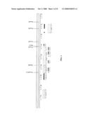 MODIFIED ANTI-CD52 ANTIBODY diagram and image