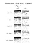 Method of Production of Artificial Skin diagram and image